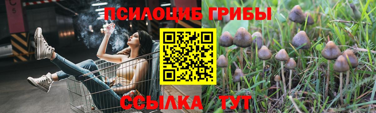 Галлюциногенные грибы мицелий  Галлюциногенные грибы Psilocybine cubensis  что такое   Тобольск  Вход с VPN 